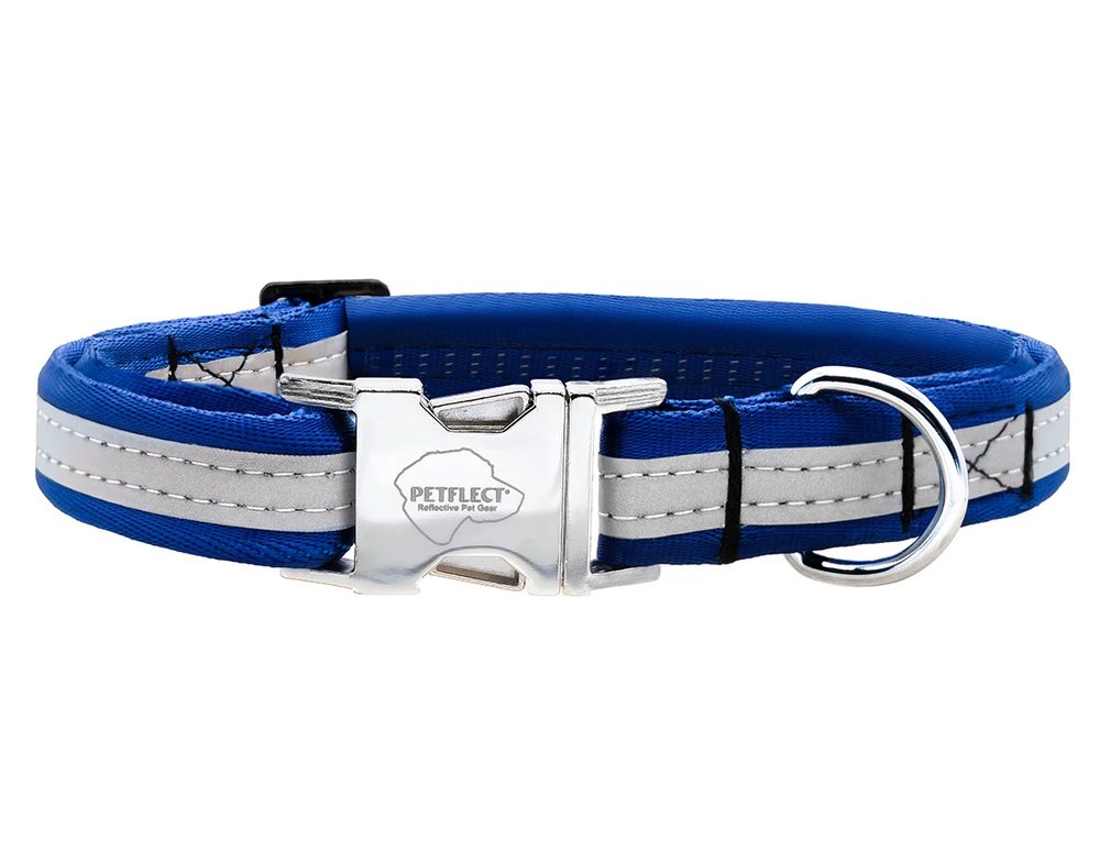 Reflective dog collar on white